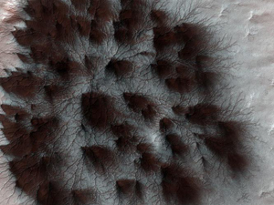 На весеннем Марсе выросли волосы. И завелись пауки.